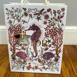 Dior gift bag with star charm